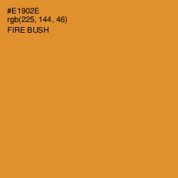 #E1902E - Fire Bush Color Image